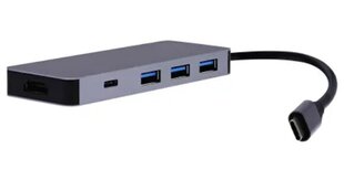 Вилка USB-C 9в1 цена и информация | Адаптеры, USB-разветвители | hansapost.ee