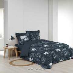 Douceur d'Intérieur voodipesukomplekt Zambie, 240 x 220 + 2 padjapüüri 63 x 63 cm price and information | Bed linen | hansapost.ee