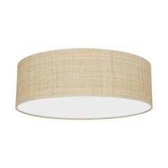 Milagro laevalgusti Marshall price and information | Ceiling lamps | hansapost.ee