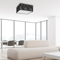 Milagro laevalgusti Satino Silver price and information | Ceiling lamps | hansapost.ee