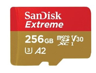SanDisk Extreme 256GB Memory Card цена и информация | Карты памяти | hansapost.ee