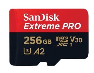 SanDisk Extreme Pro 256GB цена и информация | Карты памяти для телефонов | hansapost.ee