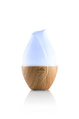 Увлажнитель ETA Aroma diffuser Aria ETA463490000 Ult цена и информация | Увлажнители воздуха | hansapost.ee