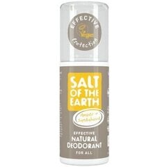 Salt-Of-The-Earth Amber Sandalwood Natural Deodorant - Natural deodorant spray with ambergris and sandalwood 100ml цена и информация | Дезодоранты | hansapost.ee