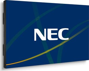 NEC 60004524 цена и информация | Мониторы | hansapost.ee