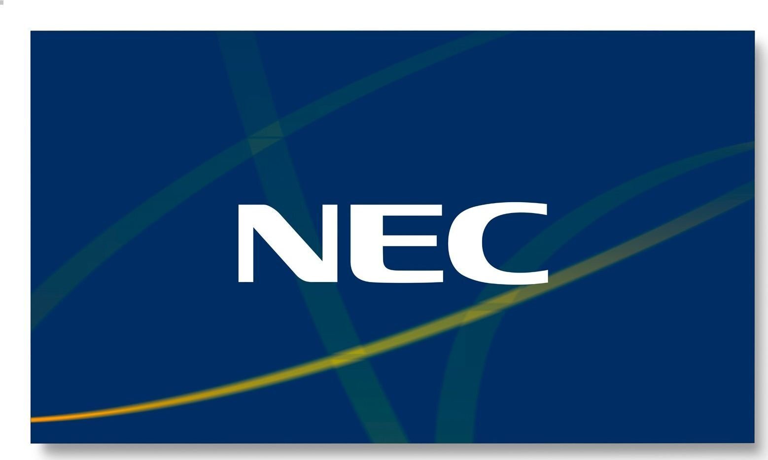 NEC 60004524 hind ja info | Monitorid | hansapost.ee