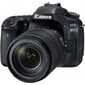 Canon EOS 80D + EF-S 18-135 mm IS USM komplekt, must цена и информация | Fotoaparaadid | hansapost.ee