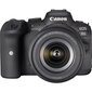 Canon EOS R6 + RF 24-105mm F4-7.1 IS STM hind ja info | Fotoaparaadid | hansapost.ee