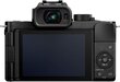 Panasonic Lumix G DC-G100 (110) Body (Must) hind ja info | Fotoaparaadid | hansapost.ee