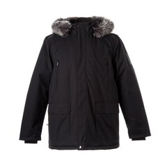 Куртка зимняя мужская Huppa Roman, черная цена и информация | Мужские куртки | hansapost.ee