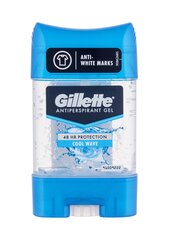 Higistamisvastane geeldeodorant Gillette Endurance Cool Wave 70 ml цена и информация | Дезодоранты | hansapost.ee