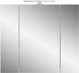 Шкаф для ванной комнаты 2754, белый цвет цена и информация | Шкафчики для ванной | hansapost.ee
