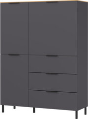 Шкаф California 1470, темно-серый/коричневый цена и информация | Шкафчики в гостиную | hansapost.ee