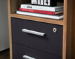 Kirjutuslaud Desk 0484, pruun/must hind ja info | Arvutilauad, kirjutuslauad | hansapost.ee