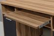 Kirjutuslaud Desk 0484, pruun/must hind ja info | Arvutilauad, kirjutuslauad | hansapost.ee