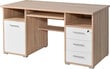 Kirjutuslaud Desk 0484, pruun/valge hind ja info | Arvutilauad, kirjutuslauad | hansapost.ee