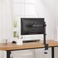 Maclean MC-883 monitor mount / stand цена и информация | Monitori kinnitused | hansapost.ee