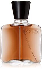 Туалетная вода Роберто Capucci L'Homme Suave EDP для мужчин 100 мл цена и информация | Мужские духи | hansapost.ee