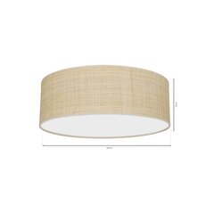 Milagro laevalgusti Marshall price and information | Ceiling lamps | hansapost.ee