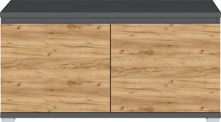 Шкафчик для обуви Germania Lissabon 3474, темно-серый/коричневый цена и информация | Полки для обуви, банкетки | hansapost.ee