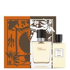 Komplekt meestele Hermes Terre D'Hermes: EDT meestele 50 ml + dušigeel 40 ml цена и информация | Мужские духи | hansapost.ee