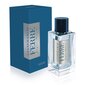 Tualettvesi Gianfranco Ferre Fougere Italiano EDT meestele 50 ml цена и информация | Parfüümid meestele | hansapost.ee