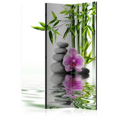 Ruumijaotur - Water Garden [Room Dividers] цена и информация | Мобильные стенки | hansapost.ee