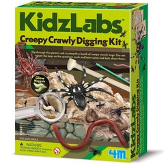 Детская лаборатория 4М: набор Creepy Creepy Excavation цена и информация | 4M Игрушки | hansapost.ee