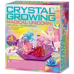 Набор для творчества 4M Magic Unicorn Crystal Terrarium цена и информация | 4M Товары для детей и младенцев | hansapost.ee