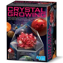 Развивающая игрушка 4M Growing Crystals: красные кристаллы цена и информация | Развивающие игрушки для детей | hansapost.ee