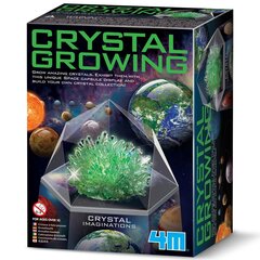 Развивающая игрушка 4M Growing Crystals: зеленые кристаллы цена и информация | Развивающие игрушки для детей | hansapost.ee