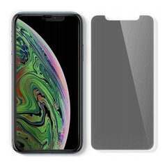 Защитная пленка Spigen для Iphone 11 цена и информация | Защитные пленки для телефонов | hansapost.ee