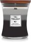 WoodWick lõhnaküünal Trilogy Fireside, Redwood, Sandalwood Clove, 275 g hind ja info | Küünlad, küünlajalad | hansapost.ee