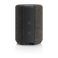 Audio Pro G10 Dark, hall hind ja info | Kõlarid | hansapost.ee