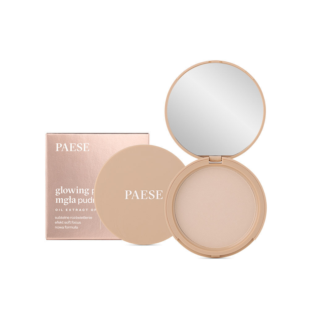 Biri pudra paese Glowing Powder 11 Light Beige, 10g цена и информация | Jumestuskreemid ja puudrid | hansapost.ee