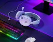 Kõrvaklapid SteelSeries Arctis Nova 1, valge цена и информация | Kõrvaklapid | hansapost.ee