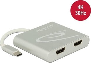 Delock 87715 цена и информация | Адаптеры и USB-hub | hansapost.ee