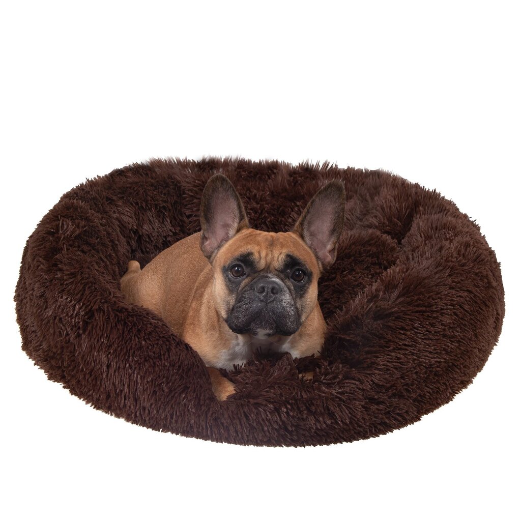 Koera või kassi voodi Springos PA0141 60 cm цена и информация | Pesad, asemed | hansapost.ee