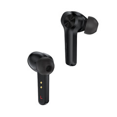 Acefast In-Ear TWS Bluetooth 5.0 T4 Black цена и информация | Наушники | hansapost.ee