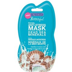 Näomask Freeman Facial Anti-Stress Mask Dead Sea Minerals, 150ml цена и информация | Маски для лица, патчи для глаз | hansapost.ee