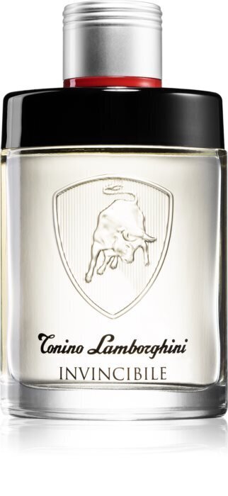 Tualettvesi Tonino Lamborghini Invincibile EDT meestele 125 ml цена и информация | Parfüümid meestele | hansapost.ee