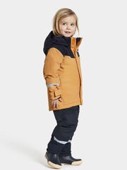 Детский зимний комплект Didriksons SKARE, желто-синий цена и информация | Зимняя одежда для детей | hansapost.ee