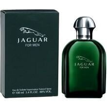 Meeste tualettvesi Jaguar Jaguar for Man EDT Tester, 100 ml hind ja info | Parfüümid meestele | hansapost.ee