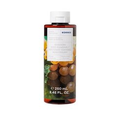 Dušigeel Revita Santorini Grape, 250 ml price and information | Shower gels, oils | hansapost.ee