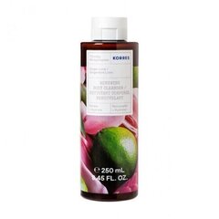 Dušigeel Revita Ginger Lime, 250 ml hind ja info | Korres Parfüümid, lõhnad ja kosmeetika | hansapost.ee