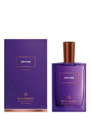 Parfüümvesi Molinard - Vetiver EDP meestele, 75 ml hind ja info | Parfüümid meestele | hansapost.ee