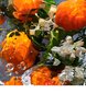 Parfüümvesi Guerlain Aqua Allegoria Orange Soleia EDT naistele 125 ml цена и информация | Parfüümid naistele | hansapost.ee