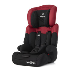 Автомобильное кресло Babytiger MALI 9-36 кг, Burgundy цена и информация | Автокресла | hansapost.ee