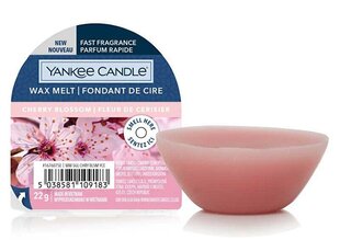 Lõhnavaha Yankee Candle Cherry Blossom Wax Melt - Aromatic wax for aroma lamps, 22 g hind ja info | Küünlad, küünlajalad | hansapost.ee