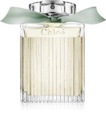 Parfüümvesi Chloe Naturelle EDP naistele 100 ml hind ja info | Chloé Parfüümid, lõhnad ja kosmeetika | hansapost.ee